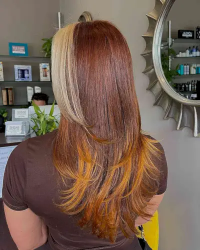 Auburn Balayage Brown Long Hair with Blonde Money Piece and Lighter Ends