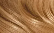Nuancier Cheveux Clairol Miel' title=