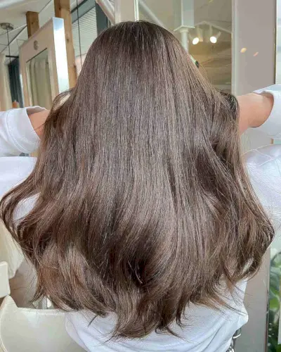 Light Coffee Brown Hair Color