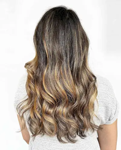 Honey Caramel Brown Balayage Teasylights on Long-Length Black Hair