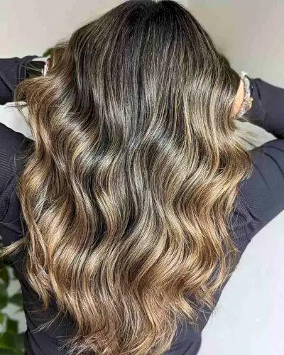 Light Caramel Brown Balayage Highlights on Lengthy Black Hair