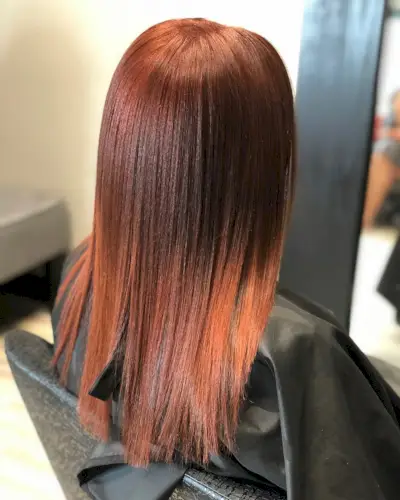 Classy Light Reddish Brown