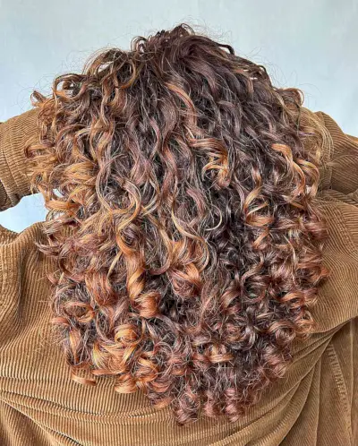 Red & Brown Curly Color Melt