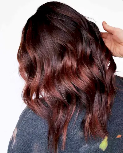 Chocolate and Merlot Red Brown Hair