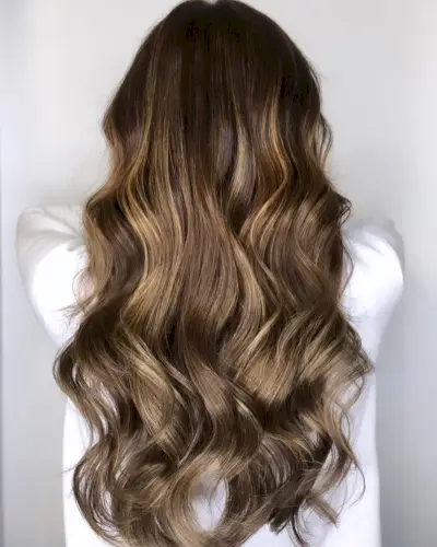 Light Golden Brown on Dark Brown Hair
