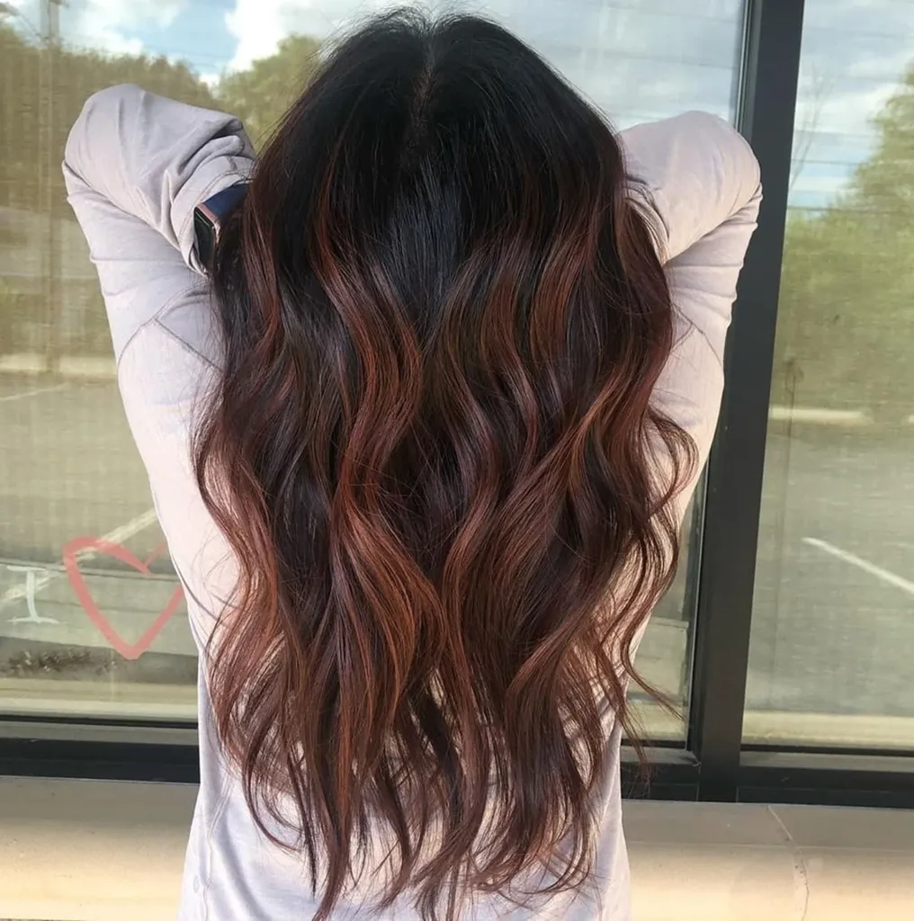 Osupljivi temno kostanjevo rjavi poudarki na črnih laseh' title=