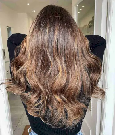 Honey Blonde Accents on Chocolate Brown Hair