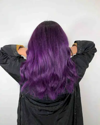 Bright Dark Violet Hair Hue