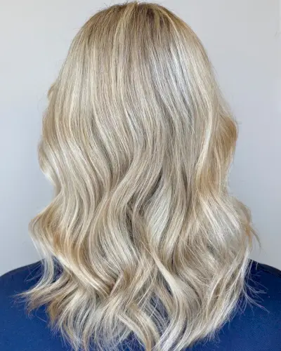 Beautiful Lowlights for White Hair