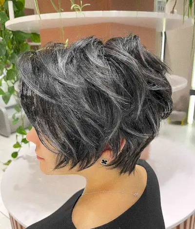 Thick Wavy Black Hair with Highlights