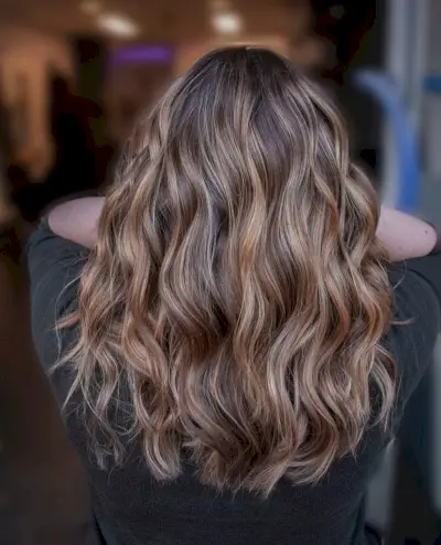 Dark Hair Color with Honey Blonde Highlights