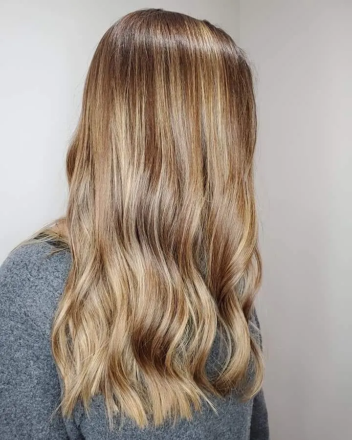 Underbara Lowlights för brunt hår' title=