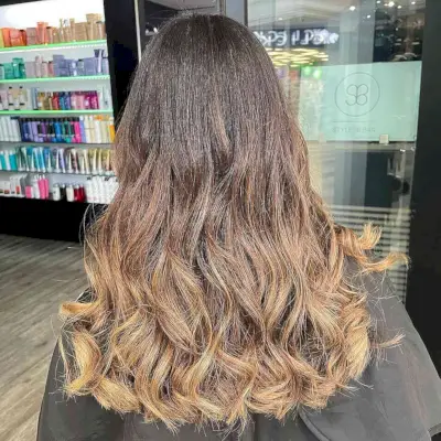 Honey Blonde Ombre on Dark Brown Hair