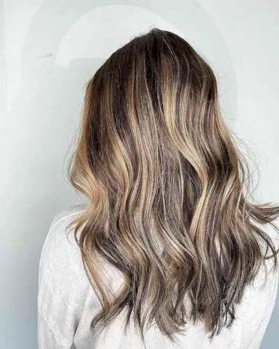 Medium Brown Layered Hair with Caramel Dark Blonde Balayage Highlights