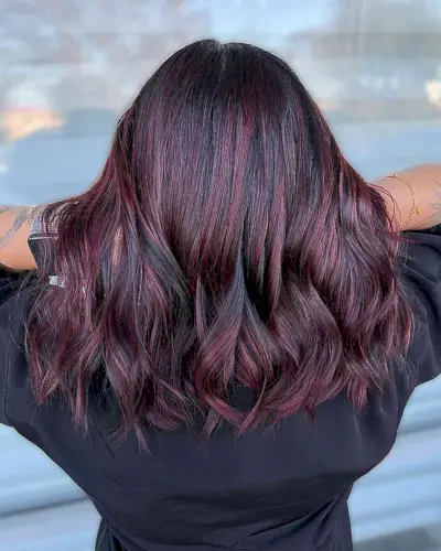 Burgundy Balayage Lowlights on Medium-Length Black Hair