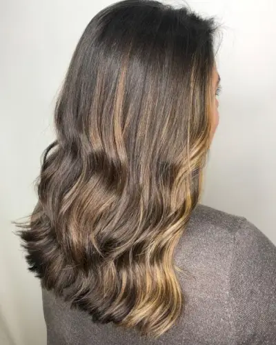 Honey blonde highlights