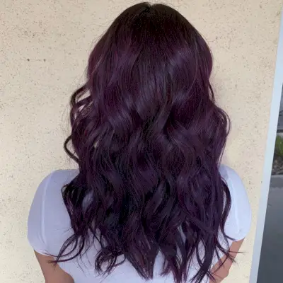 Black cherry and Eggplant Hair Color