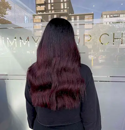 Reddish Purple Plum Babylights on French Roast Black