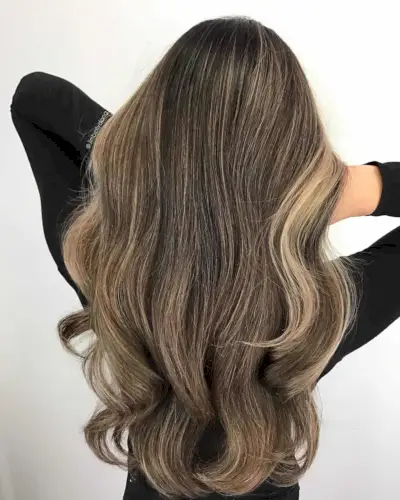 Fashionable Dark Hair with Beige Blonde Highlights