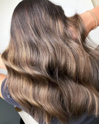 dark brown hair with light caramel highlights on medium-length hair