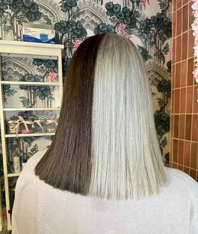 Half Dark Brown, Half Silver Blonde hair colors