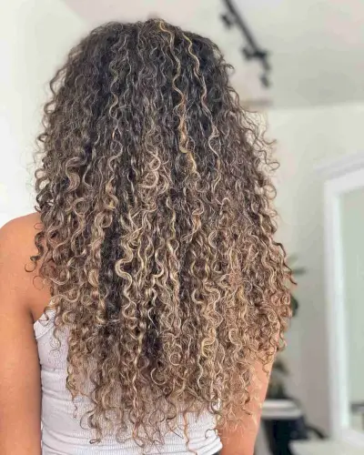 Long Naturally Curly Hair with Balayage Blonde Accents