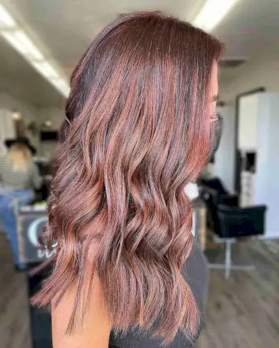 Beautiful Chocolate-Cherry Chestnut Brown