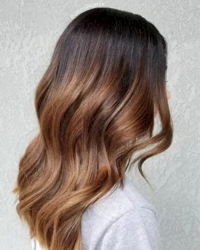 Sassy Dark to Light Chestnut Ombre