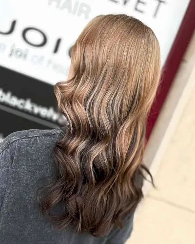Light Brown to Dark Brown Ombre