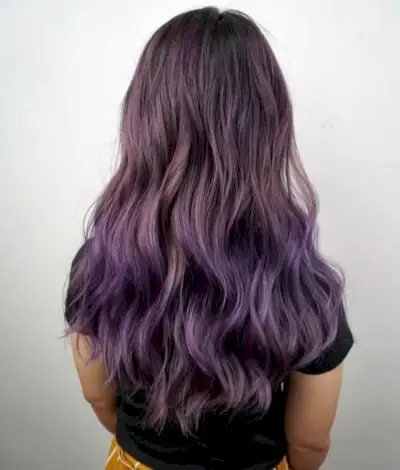 Ash Purple Ombre