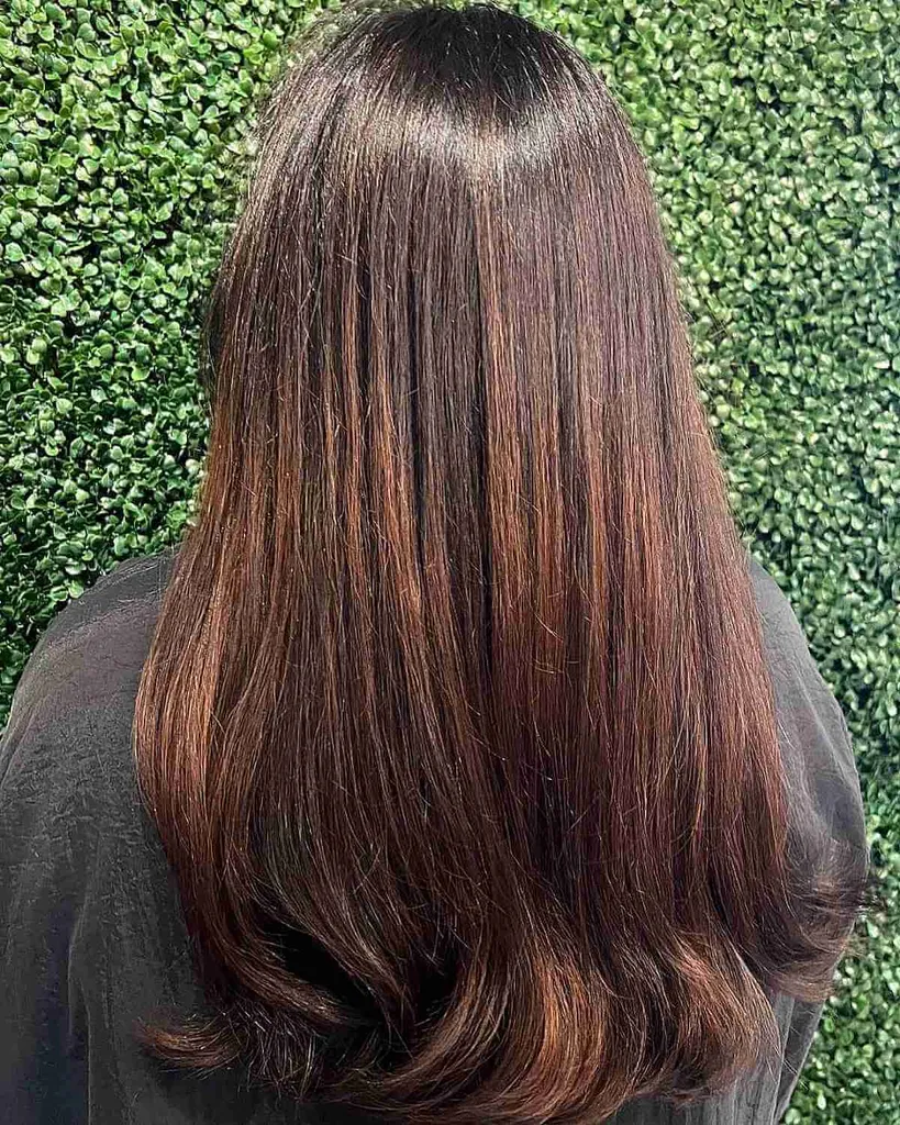 Mørkt hår med lys Auburn Brown Highlights' title=