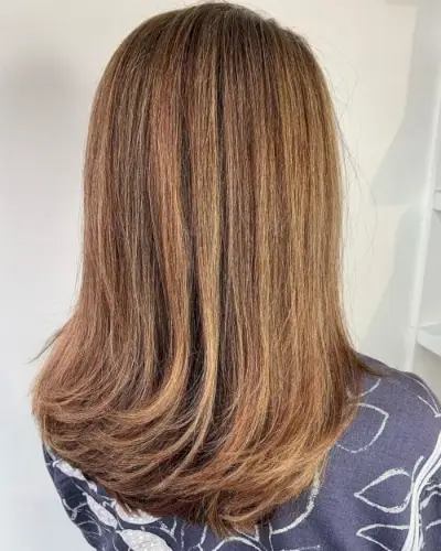 Medium Brown Hair with Caramel Highlights