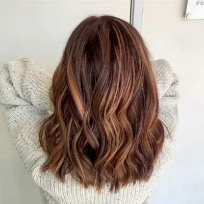 Burgundy and Caramel Highlights