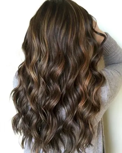 Dark Caramel highlights on Black Base Color
