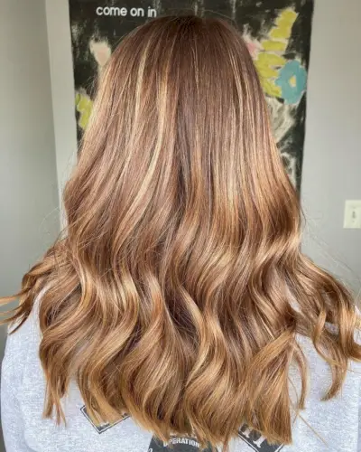 Light brown hair with highlights