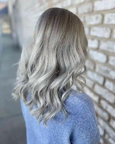 Ivy Silver Hair Colors