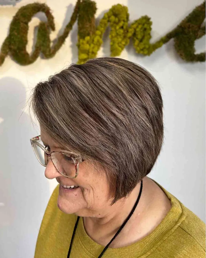 Ashy Brown med Ashy Blonde Highlights' title=