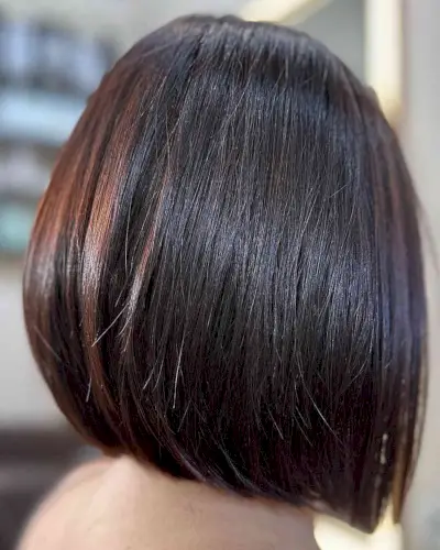 Straight, Neck-Length Brown Bob