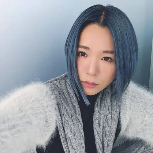 Middernachtblauw en zilver' title=