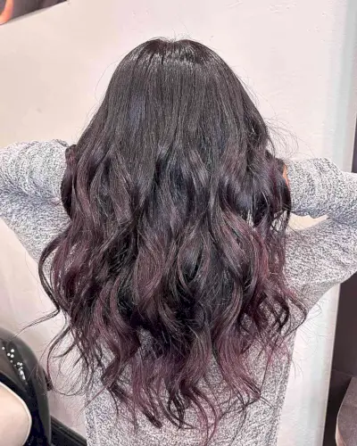 Wavy Black Hair with Mahogany Ends