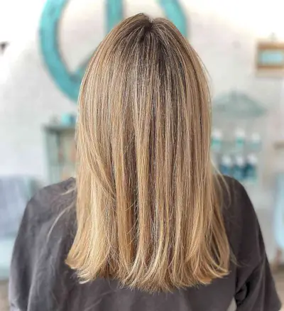 Medium-Length Blonde Straight Highlighted Hair with Honey Tones