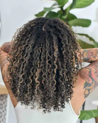 Honey Blonde Highlights on African-American Hair