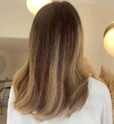 Honey Blonde and Caramel Highlights