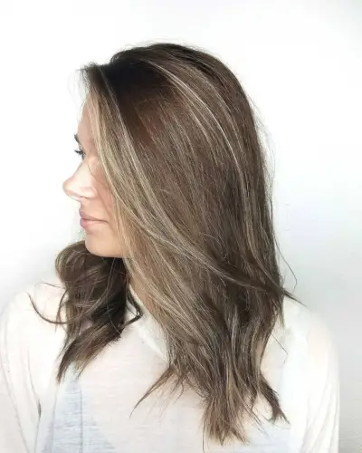 Light Chestnut Hair with Sun-Kissed Highlights