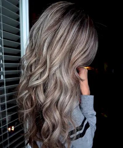 Chocolate Brown Hair with Silver Highlights