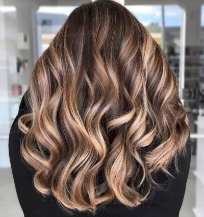dark brown hair with light blonde highlights