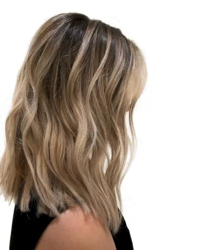 Brown with Very Light Blonde Highlights