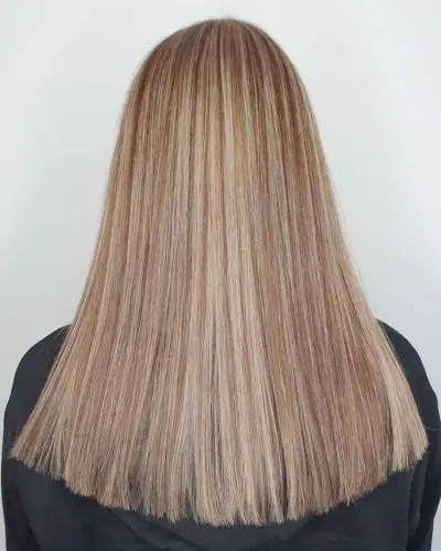 Light Brown with Light Ash Blonde Highlights