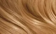 Clairol Color Color Graf med' title=