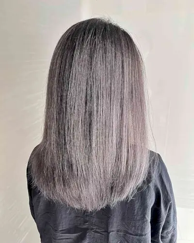 Grey Blended Mid-Length Straight Dark Hair with Silver-Toned Ash Brown